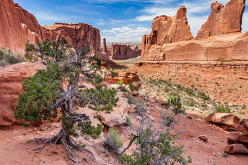 Wall Mural - Park Avenue, Arches National Park