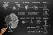 Infographic design for cocoa journey on blackboard