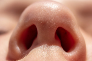 Women's nose, close-up