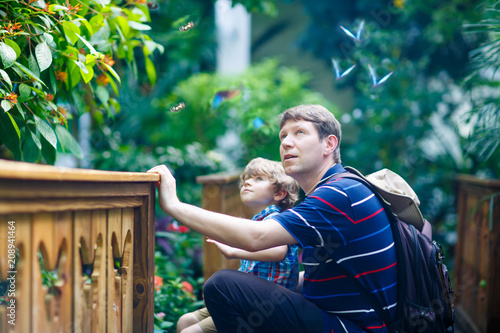 Αφίσα Father and preschool kid boy discovering flowers, plants and butterflies at botanic garden