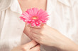 © Andrey Cherkasov - Female healthcare concept, hand hold pink floower gerbera
