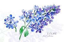 Botanical Illustration. Postcard Card With Blossoming Blue Lilac Flower. Imitation Of Watercolor. Drawing With Alcohol Markers.