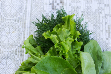 Harvest of lettuce and dill on the kitchen table. Freshly picked spicy herbs.