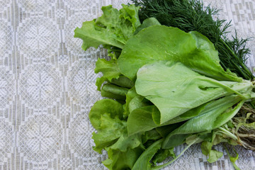 Harvest of lettuce and dill on the kitchen table. Freshly picked spicy herbs.