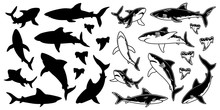 Set Of Monochrome Shark Vector Silhouettes. Sea Fish, Animal Swimming, Fauna Illustration. For Graphic Emblems