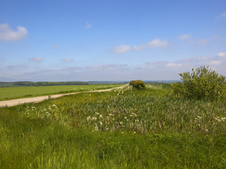 Wall Mural - Minster Way and overgrown pond