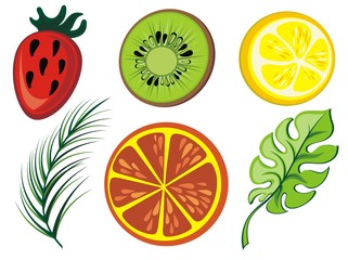 Sticker - Summer icon collection. Vector tropical set with exotic fruit, leaves 