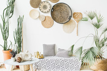 Modern Minimal Home Interior Design. Pillows, Golden Teapot, Decorative Straw Plates, Scandinavian Blanket, Tropical Palm Tree, Succulent And Decorations.