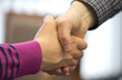 © Shelley Westover - handshake 3