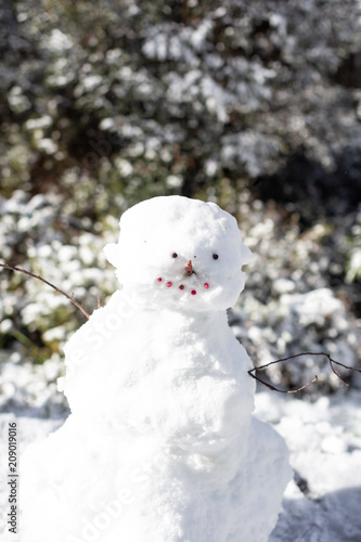 Snowman In The Sunshine At Cradle Moiuntain Tasmania Australia Buy This Stock Photo And Explore Similar Images At Adobe Stock Adobe Stock