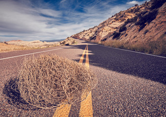 Tumbleweed on a road, color toned picture, Capitol Reef National Park, Utah, USA.