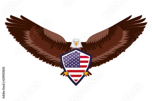 American Eagle And Flag Images - Fashion Slap