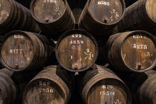 Row Of Wooden Porto Wine Barrels In Wine Cellar Porto, Portugal.
