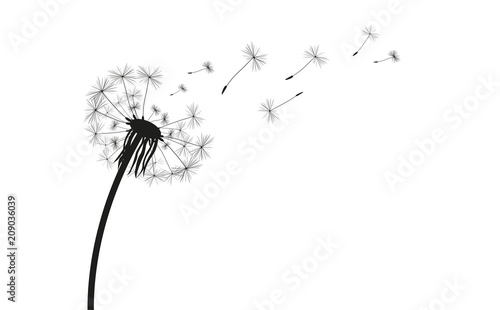 Pusteblume Silhouette Stock-Vektorgrafik | Adobe Stock Pusteblume Silhouette Stock-Vektorgrafik | Adobe Stock