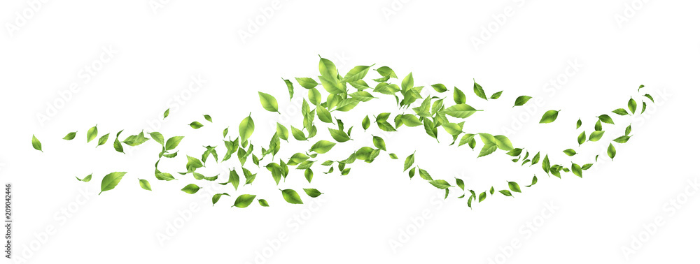 Green Flying Leaves - obrazy, fototapety, plakaty 