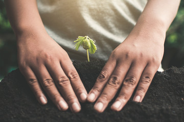 Human hand planting little green sprout , concept save the world.