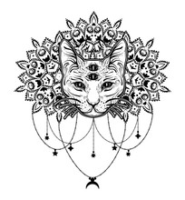 Dreamcatcher With Four Eyed Cat. Vintage Boho Style.