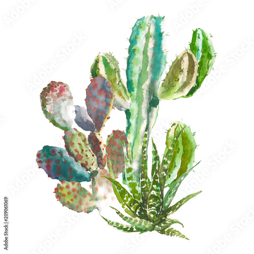 Naklejka na meble Ilustracja kaktusów - akwarela
