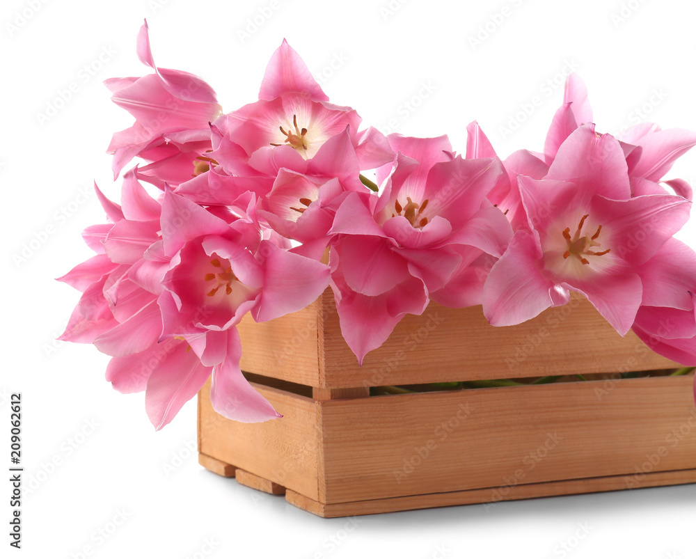 Wooden crate with beautiful tulips on white background