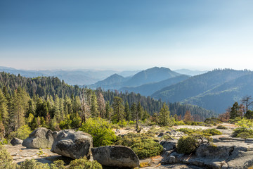 Wall Mural - Scenic view Sequoia National Park