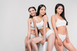 © LIGHTFIELD STUDIOS - attractive multiethnic girls in underwear posing on white cube, isolated on grey