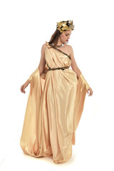 Wall Mural - full length portrait of brunette woman wearing long golden grecian gown, standing pose. isolated on white studio background.