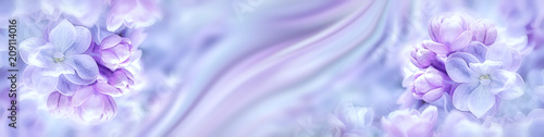 Plakaty fioletowe  bzu-kwiaty-kwitna-galaz-panorama