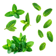 Fresh Mint Leaves Collection  Isolated On White Background, Top View. Close Up Of Peppermint.