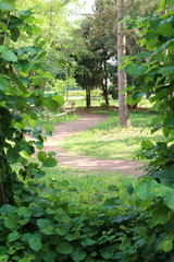 Sticker - winding walkway through green