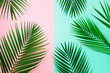 © jchizhe - Styled summer concept. Tropical palm leaves on pink and blue background. Minimal nature. Creative flat lay with copy space. Top view