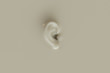 An ear as background in wax look - 3D Rendering