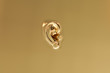 An ear as a background in gold look - 3D Rendering