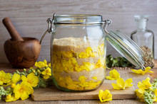 Preparation Of Mullein Syrup From Fresh Mullein Flowers