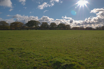 Farmland