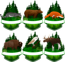 Set Of Vector Woodland Emblems With  Barn Owl, Red Fox, Racoon, Grizzly Bear,  Moose Bull And Zubr Buffalo Bison