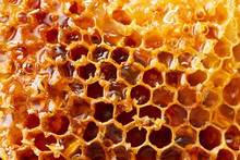 Seamless Honeycomb Background.