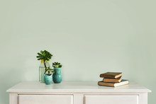Hall Table With Plant, Books And Blank Wall
