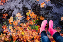 Standing In A Puddle Of Fallen Leaves In Autumn