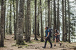 © Lumina/Stocksy - Couple Trekking in Woods