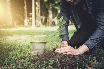 Wall Mural - Young man planting the tree in the garden as earth day and save world concept, nature, environment and ecology