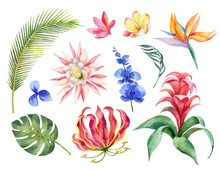 Watercolor Vector Set With Tropical Leaves And Bright Exotic Flowers Isolated On White Background.