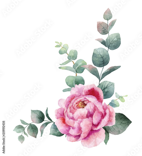 Fotomural Watercolor vector wreath with green eucalyptus leaves, peony flowers and branches