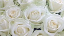 Roses. Beautiful White Rose Flowers Bouquet Background. Flowers Bunch Backdrop, Rotation. 4K UHD Video 3840X2160