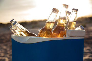 Close up of beer bottles cooling in an icebox