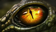Digital Art Of Lizard Eyes.
