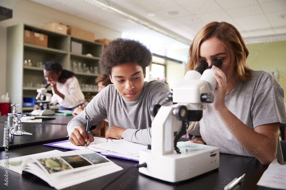 High School Students Looking Through Microscope In Biology Class - obrazy, fototapety, plakaty 