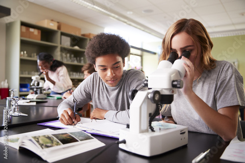 Cuadros en Lienzo High School Students Looking Through Microscope In Biology Class