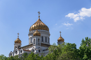 Wall Mural - Cathedral of Christ the Saviour.