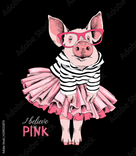 Plakaty do antyram, ramek lub samoprzylepne pig-posing-like-a-superstar-in-a-striped-cardigan-in-a-pink-tutu-skirt-and-with-a-glasses-vector-illustration