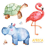Africa watercolor set.Safari collection with flamingo,hippo,turtle,stones.Watercolor cute animals.Perfect for wallpaper,print,packaging,invitations,Baby shower,patterns,travel,logos etc